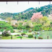 マクロビオティックジャーナル2026年春号（1038）