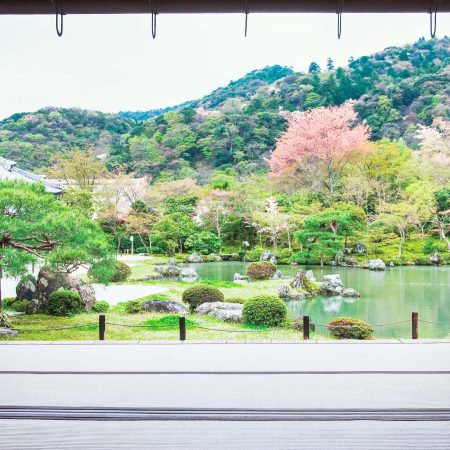 マクロビオティックジャーナル2026年春号(1038)